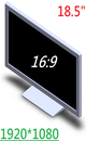 18.5 inch FHD Monitor